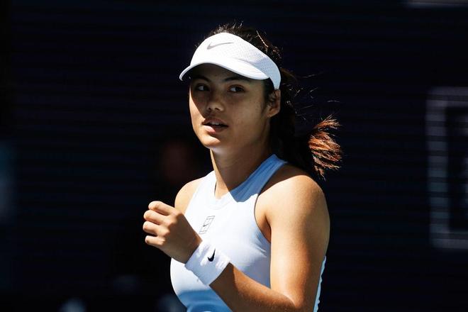 阿拉伯的比 阿拉伯的比