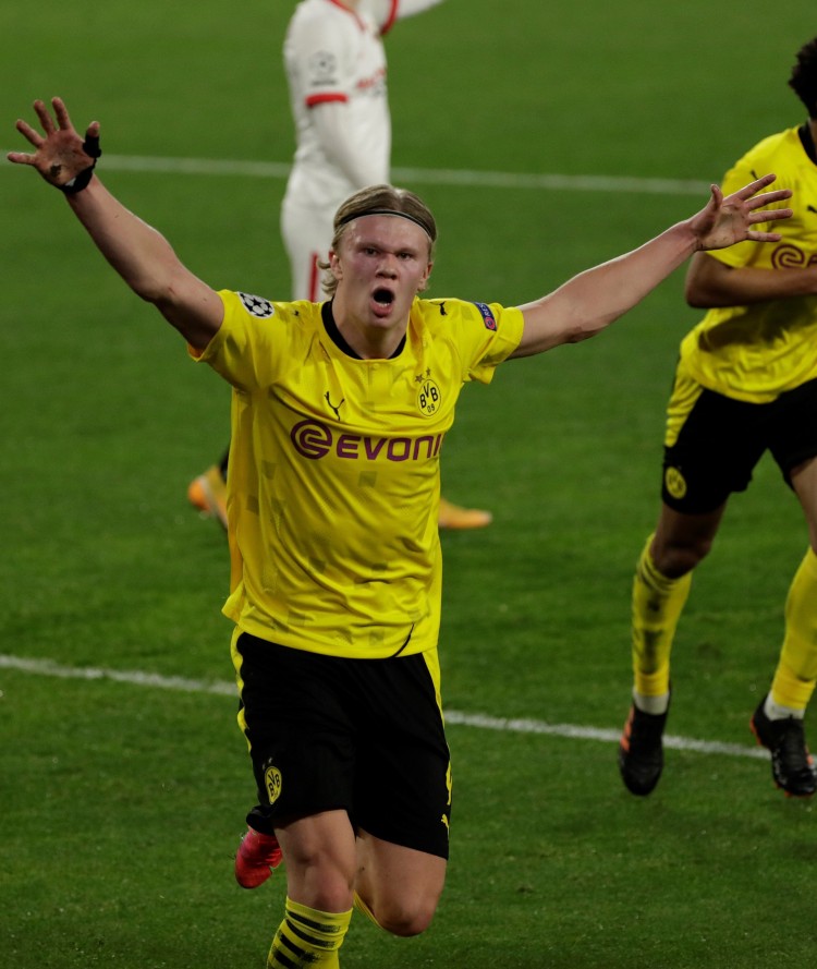 文化影响 文化影响